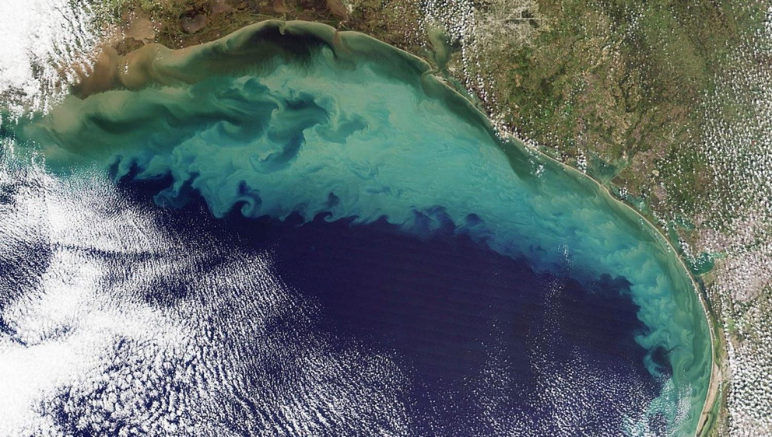 墨西哥湾北部死亡地带的卫星图像